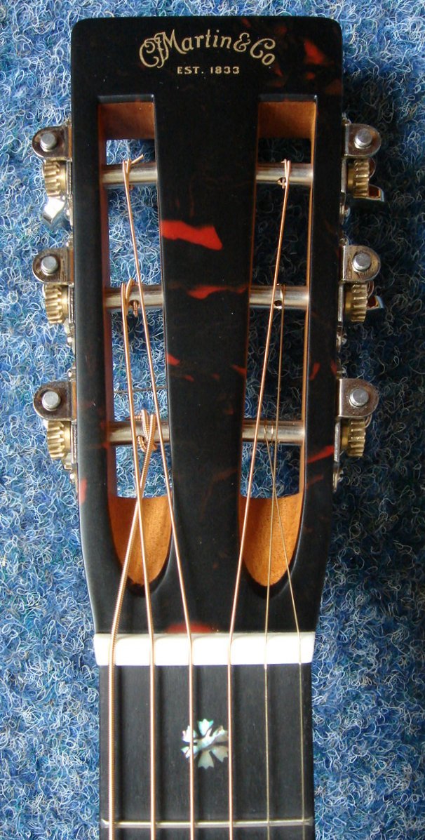 Slotted headstock with tortoise headplate